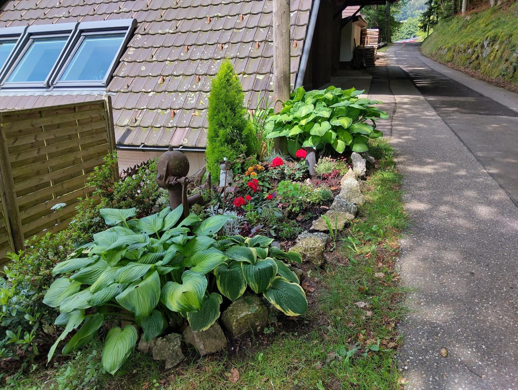 Haus "Guck - Ins - Tal" Lejlighed Sasbachwalden Eksteriør billede