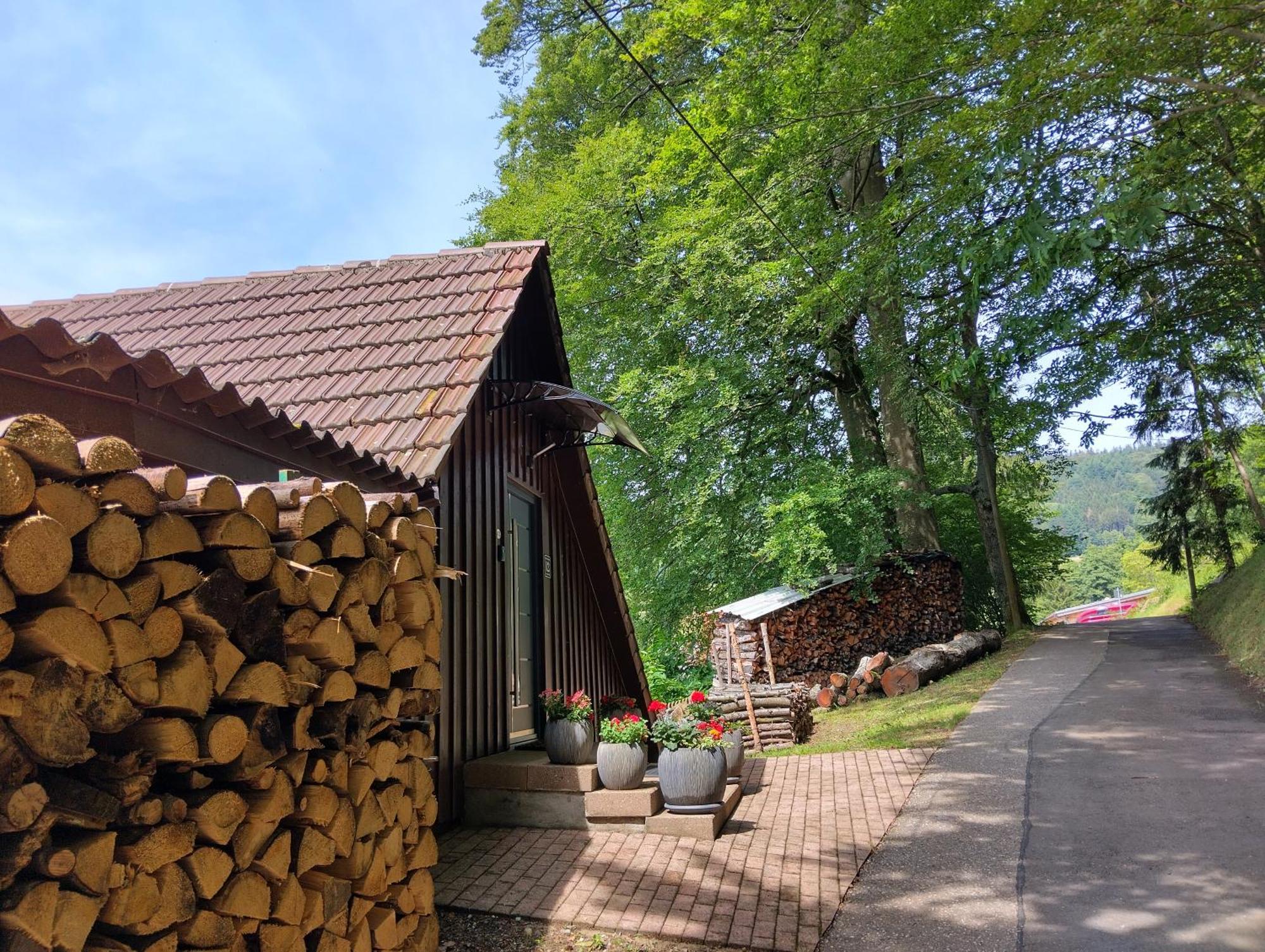 Haus "Guck - Ins - Tal" Lejlighed Sasbachwalden Eksteriør billede